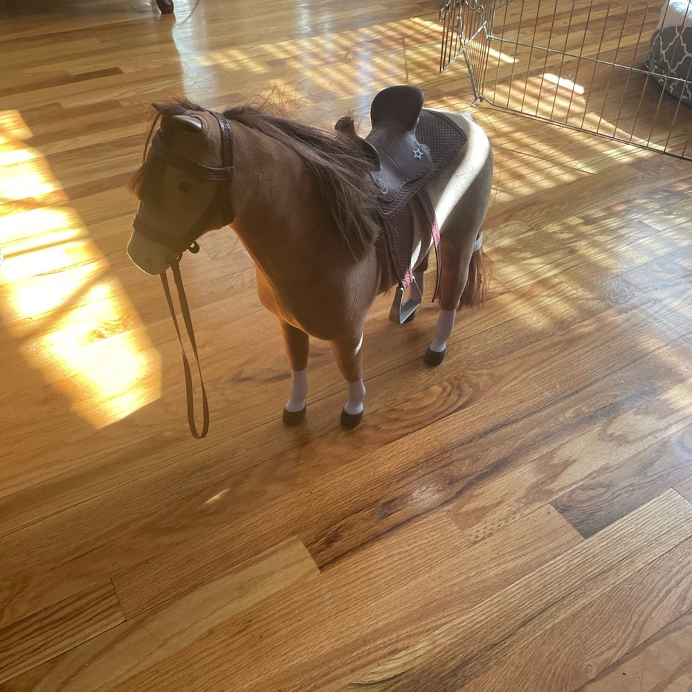American girl horse